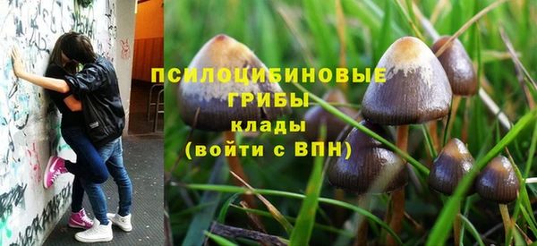 марки nbome Алексеевка